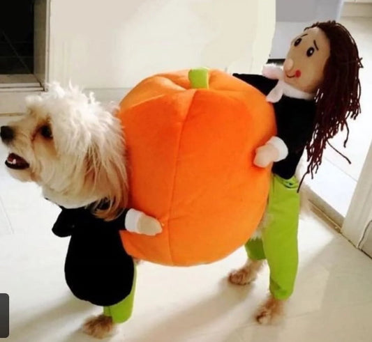 Dog Halloween Costumes,Pumpkin Funny Pet Costume, Halloween Costumes for Small Medium Dogs Pet Halloween Costumes, Dog Cosplay Costume for Halloween Christmas Birthday Party Photo Props